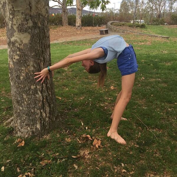 File:84216365 887209151710793 1745679400110574979 n.jpg