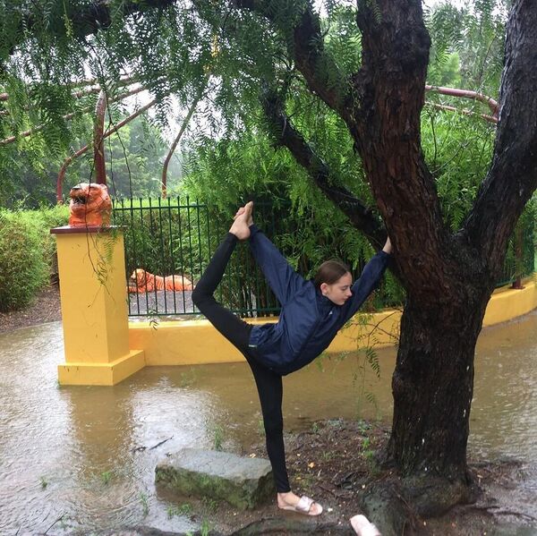 File:83640204 704570210079598 7739326478936219430 n(1).jpg