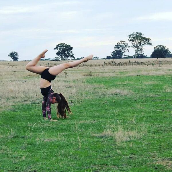 File:93880145 1390599884462694 8217245760450846179 n(1).jpg